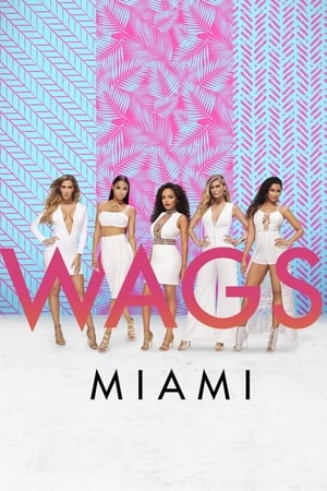 WAGS Miami-hd