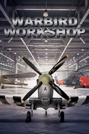 Warbird Workshop-hd