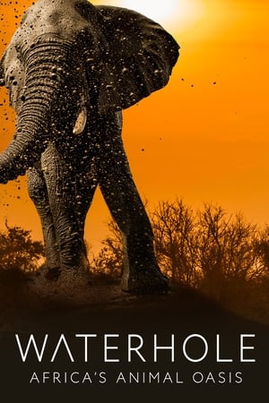 Waterhole: Africa's Animal Oasis-hd