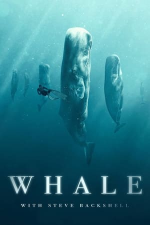 Whale with Steve Backshall-hd