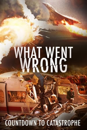 What Went Wrong: Countdown To Catastrophe What Went Wrong: Countdown To Catastrophe-hd