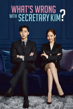 What's Wrong with Secretary Kim What's Wrong with Secretary Kim-hd