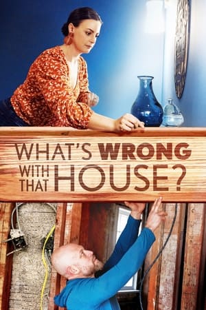 What's Wrong with That House? What's Wrong with That House?-hd