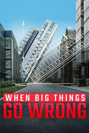 When Big Things Go Wrong-hd