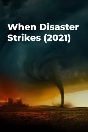 When Disaster Strikes When Disaster Strikes-hd