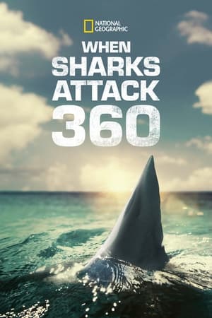 When Sharks Attack 360-hd
