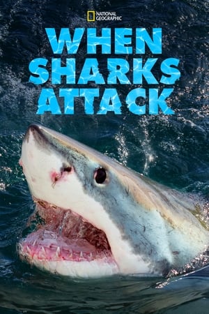 When Sharks Attack When Sharks Attack-hd
