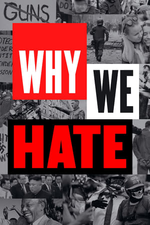 Why We Hate Why We Hate-hd