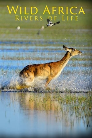Wild Africa: Rivers of Life-hd