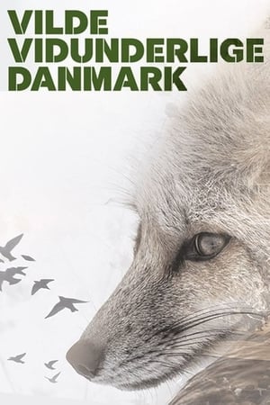Wild and Wonderful Denmark-hd