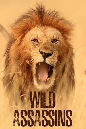 Wild Assassins Wild Assassins-hd