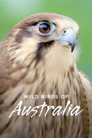 Wild Birds of Australia Wild Birds of Australia-hd