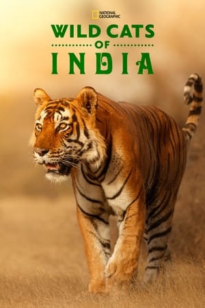 Wild Cats of India Wild Cats of India-hd