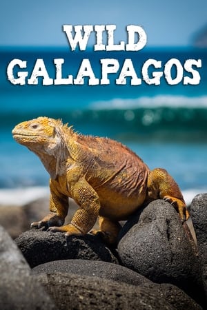Wild Galápagos Wild Galápagos-hd