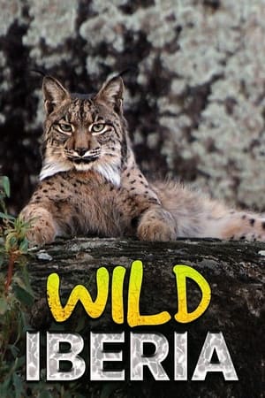 Wild Iberia-hd