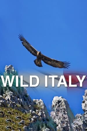 Wild Italy-hd