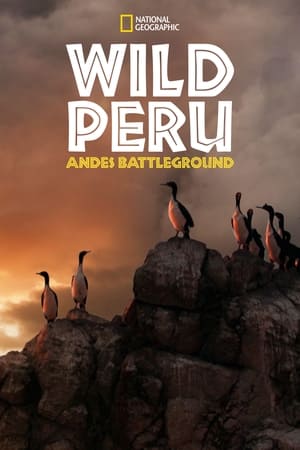 Wild Peru: Andes Battleground Wild Peru: Andes Battleground-hd