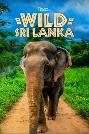 Wild Sri Lanka Wild Sri Lanka-hd