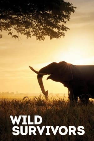 Wild Survivors-hd
