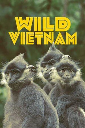 Wild Vietnam-hd