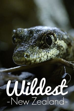 Wildest New Zealand Wildest New Zealand-hd
