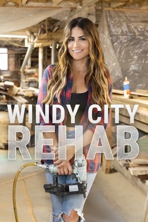 Windy City Rehab-hd
