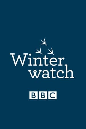 Winterwatch-hd