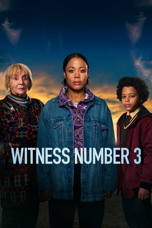 Witness Number 3 Witness Number 3-hd