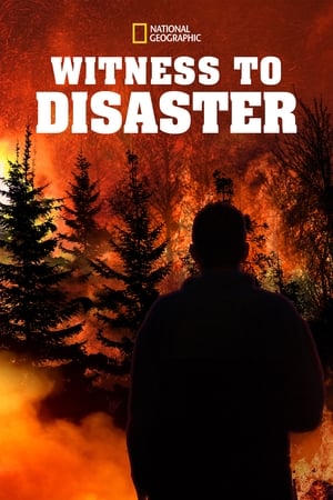 Witness to Disaster Witness to Disaster-hd