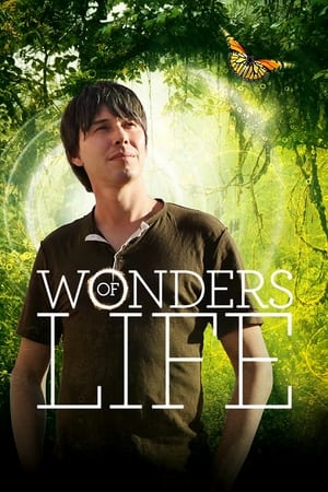 Wonders of Life-hd