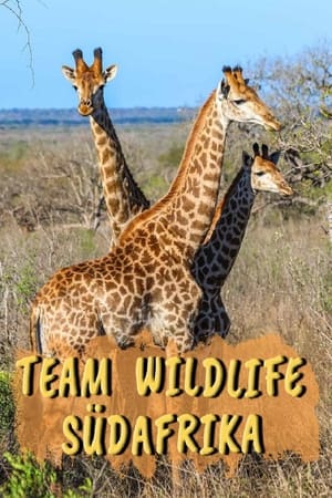 Work on the Wild Side Work on the Wild Side-hd