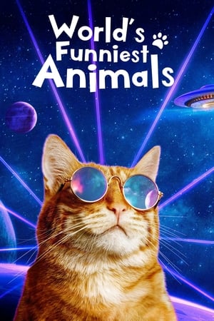 World's Funniest Animals World's Funniest Animals-hd