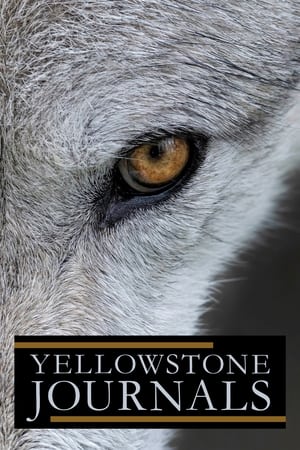 Yellowstone Journals Yellowstone Journals-hd
