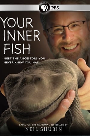 Your Inner Fish Your Inner Fish-hd